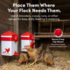 RentACoop 2.5 Pound Chick2Chicken Medium Port Feeder and 64 Ounce (2 Liter) Drinker Set for Chicks, Chickens, Quail, and Other Small Birds