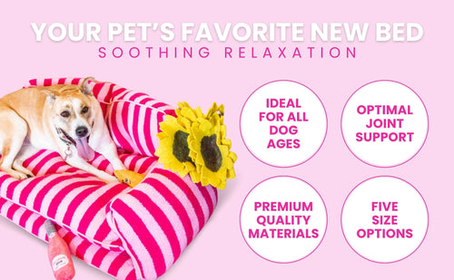 Luxury Light Blue Striped Sofa Dog Bed - Glow Pups