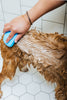 Spaw Day (Dog Shampoo & Conditioner Duo)