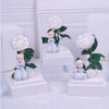 The Little Prince Eternal Life Flower Transparent Acrylic Gift Box