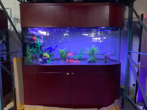Rose Cherry Color * 120g Reef-Ready Glass Peninsula Bullet Bullnose U-Shape Aquarium Set