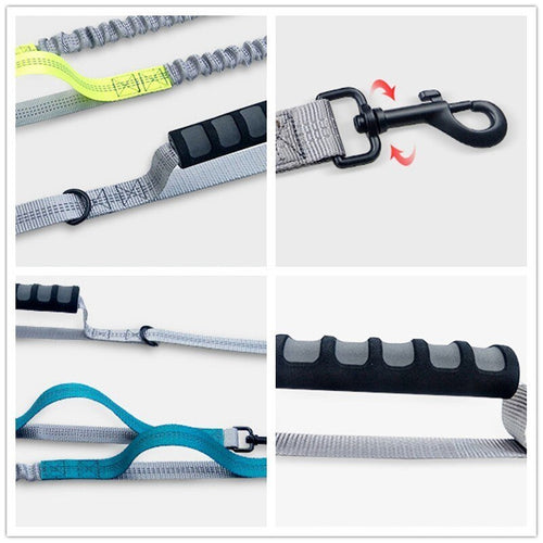 Multifunctional Handsfree Bungee Dog Leash