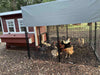 Walk-In 8 ft. Chicken Run (6'6W x 7'6L x 6'3H)