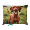 Pet Bed – Plush Dog Bed, 3 Size Options