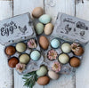 Split-Apart Egg Cartons - Securely Holds 6 or 12 Extra Large Eggs