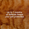 Adams Plus Flea & Tick Collar for Cats Water-Resistant Up to 7 Months Protection