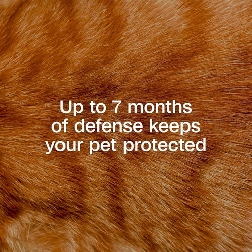 Adams Plus Flea & Tick Collar for Cats Water-Resistant Up to 7 Months Protection 3PCK