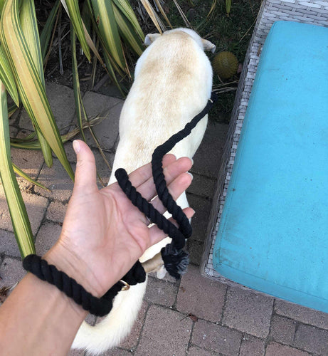 Black Boho Chic Style Dog Leash  - Glow Pups