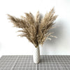 Dried Pampas Grass Decor Fluffy Tall Wedding Flowers