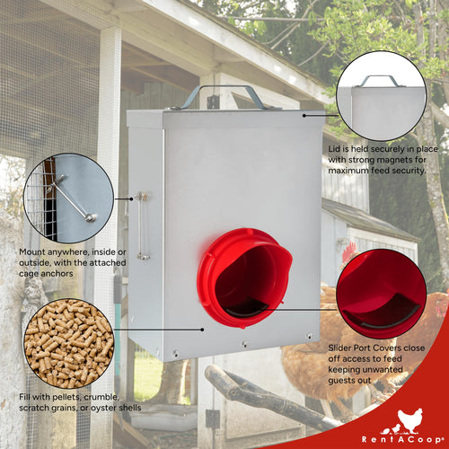 3 Pound Metal Chick2Chicken Medium Port Chicken Feeder
