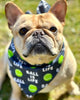 Ball Is Life Dog Bandana Best Seller