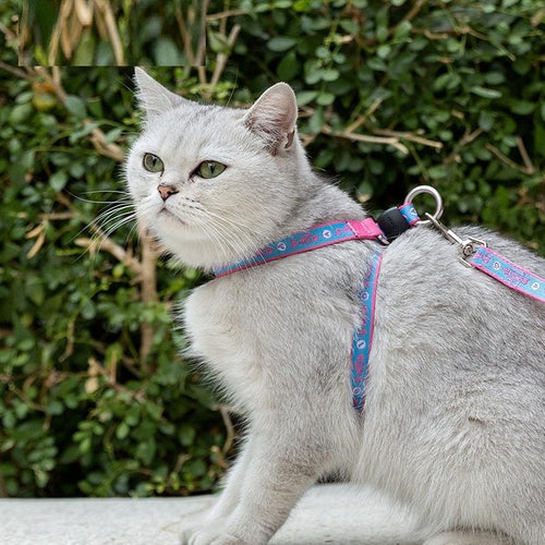 Cat Bell Chest Strap Traction Rope Set