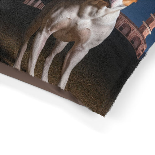 Gull Dong Pet Bed