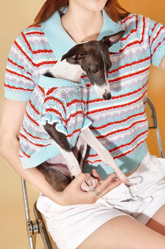 Pet & Me Spring Summer Ocean Blue Ruffle Crochet Short Sleeve Polo Shirt