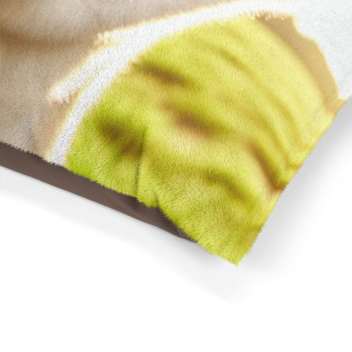 Pet Bed – Plush Dog Bed, 3 Size Options