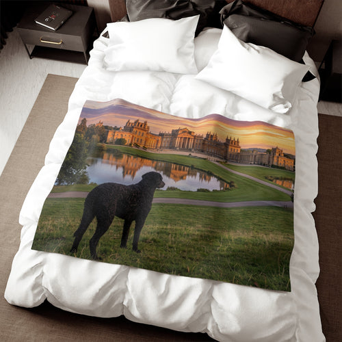 Curly Coated Retriever Blanket