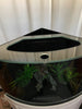 66 gallon GLASS corner bow front aquarium fish tank set NEW!