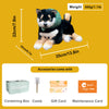 Black Shiba Inu Dog