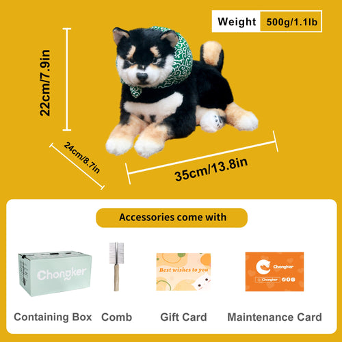 Black Shiba Inu Dog