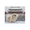 Pekingese Blanket