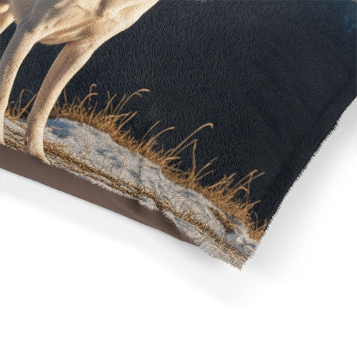 Gull Terrier Pet Bed