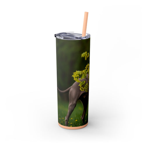 Skinny Tumbler with Straw – 20 oz Stainless Steel Cup