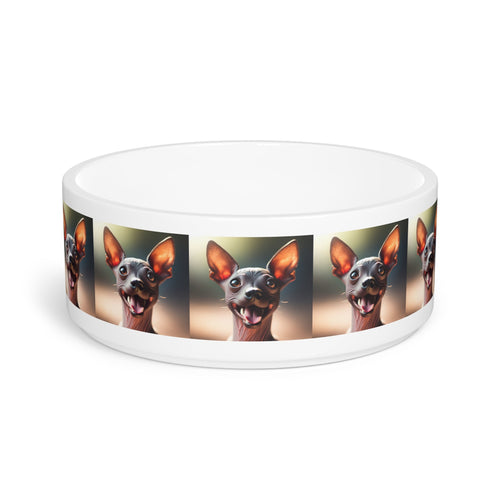 Ceramic Pet Bowl – 16 oz Dog Feeding Bowl