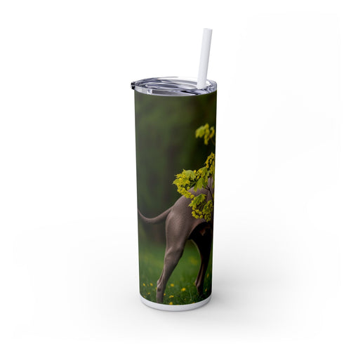 Skinny Tumbler with Straw – 20 oz Stainless Steel Cup