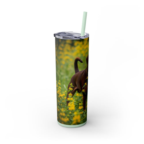 Skinny Tumbler with Straw – 20 oz Stainless Steel Cup