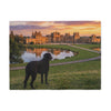 Curly Coated Retriever Blanket