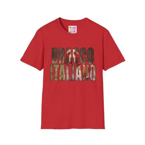 Bracco Italiano Tee Shirt