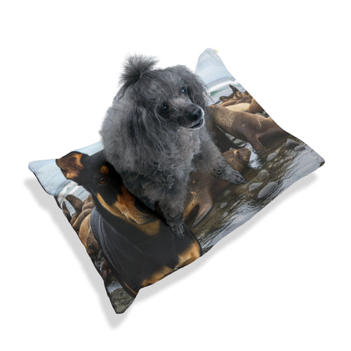 Australian Kelpie Pet Bed