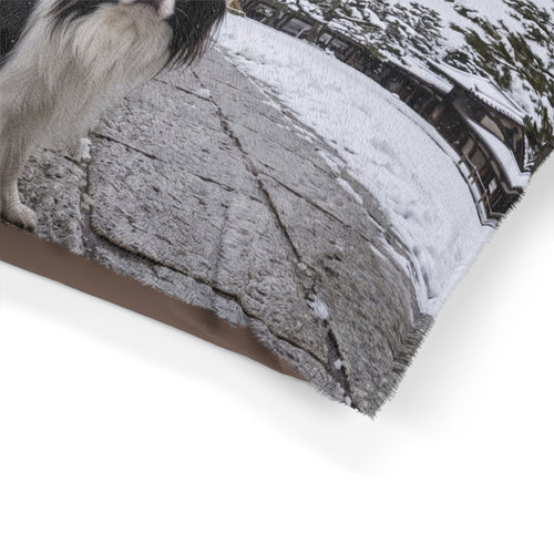 Japanese Chin Pet Bed