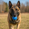 Glitter Ball 2-Pack Dog Toy | Soft Rubber Floating Fetch Ball with Treat Dispenser | USA Made