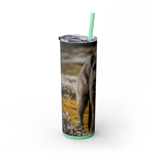 Skinny Tumbler with Straw – 20 oz Stainless Steel Cup