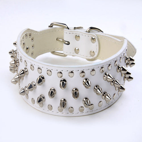 Rivet Studded Large Dog Collar