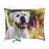 Pet Bed – Plush Dog Bed, 3 Size Options