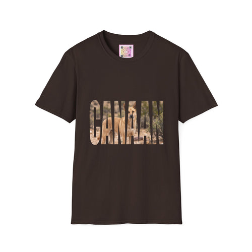 Canaan Dog Tee Shirt