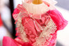 Elegant Hot Pink Lace Dog Party Dress