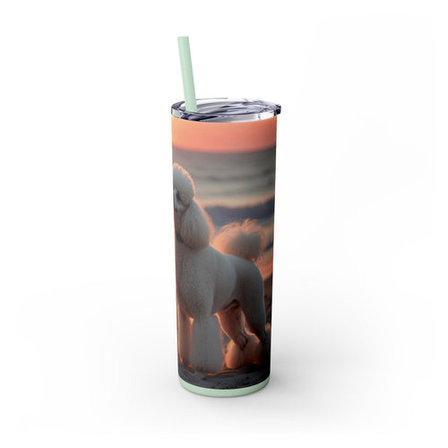 Skinny Tumbler with Straw – 20 oz Stainless Steel Cup