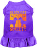 Black Cat Society Pet Dress