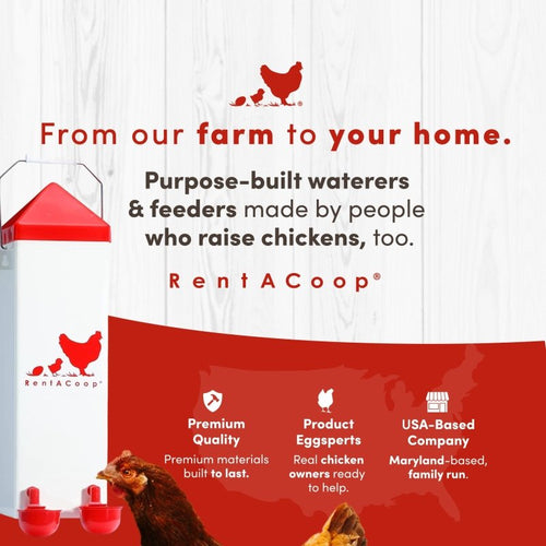 RentACoop Highrise Chicken Waterer and Feeder Set - 10lbs/2 Gal