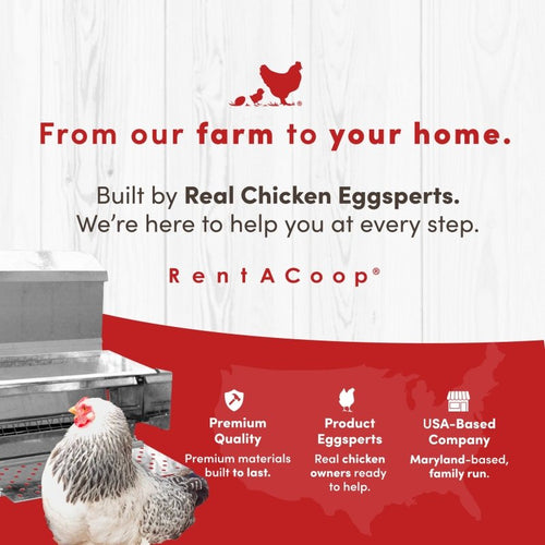 RentACoop 40 lb Automatic Treadle Chicken Feeder