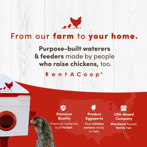 RentACoop Chick2Chicken 10lb Feeder & 2 Gal Waterer Set
