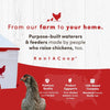 RentACoop 2 Gallon Chicken Waterer with 4 Auto-Fill Water Cups and 4 Horizontal nipples
