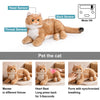 Percy 2.0 Golden British Short Hair Cat- Breathing  Heartbeat Pur,Voice Robonic Cat