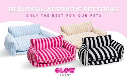 Luxury Light Blue Striped Sofa Dog Bed - Glow Pups