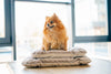 Tomas Pillow for Small Dogs