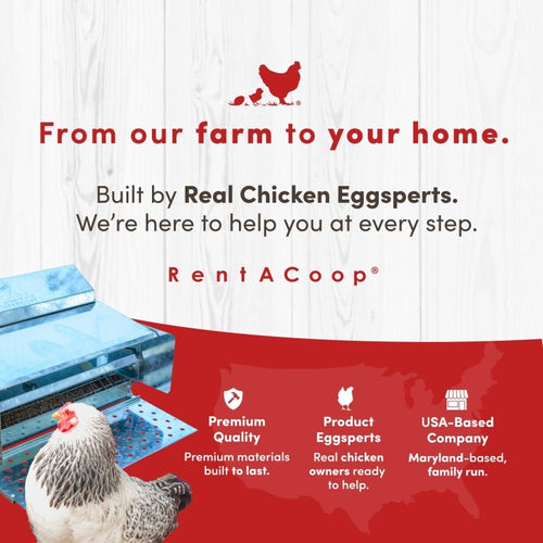RentACoop Automatic Metal Treadle Feeder - 25lb Capacity