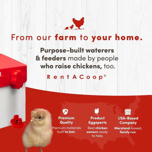 RentACoop 2.5 Pound Chick2Chicken Medium Port Feeder and 64 Ounce (2 Liter) Drinker Set for Chicks, Chickens, Quail, and Other Small Birds